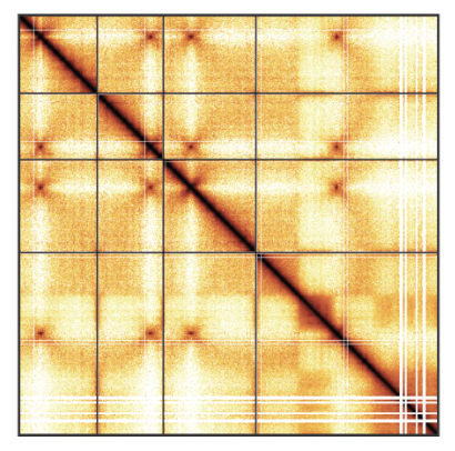 Orchestrating Hi-C analysis with Bioconductor